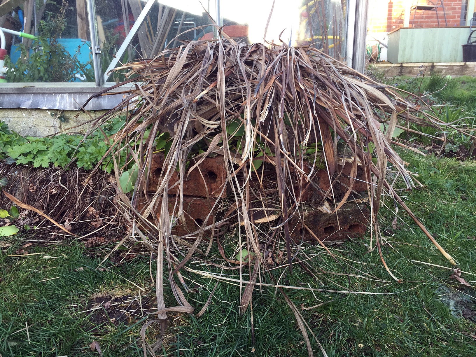 bug hotel